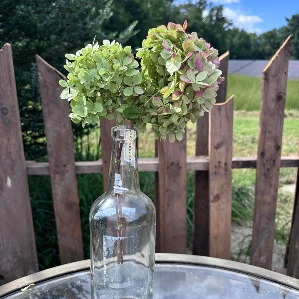 Real Preserved Hydrangea Stems 2pc Sage Green & Dusty Rose Pink Floral Decor